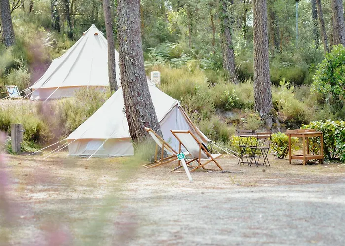 Cocooning Tipi - Seignosse